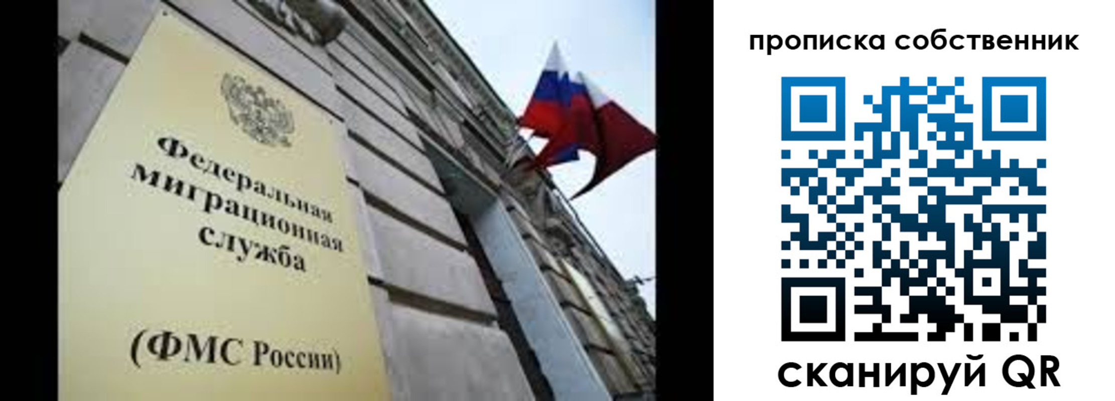 прописка гарантия в Чайковском
